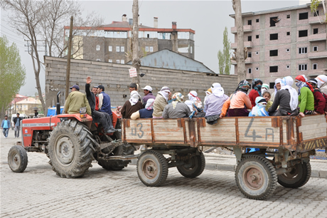 Baharın kendini hissettirmesiyle canlanan doğanın nimeti olan bitkiler Yüksekovada kadınların geçim kaynağı oldu. FOTO: YAŞAR KAPLAN