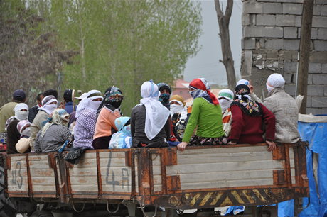 Baharın kendini hissettirmesiyle canlanan doğanın nimeti olan bitkiler Yüksekovada kadınların geçim kaynağı oldu. FOTO: YAŞAR KAPLAN