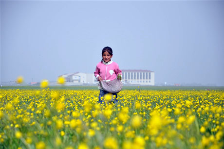 Baharın kendini hissettirmesiyle canlanan doğanın nimeti olan bitkiler Yüksekovada kadınların geçim kaynağı oldu. FOTO: YAŞAR KAPLAN