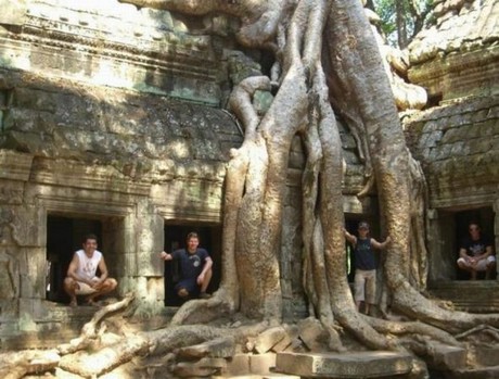 Şaşırtan ağaçlar 