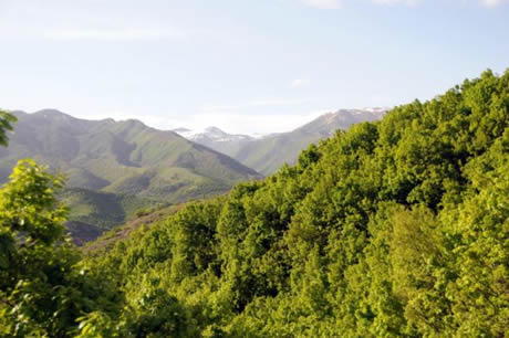 Tunceli'de havaların ısınmasıyla birlikte Munzur Dağları ile Pülümür Vadisi'nde açan çiçekler ortaya rengarenk görüntüler çıkardı