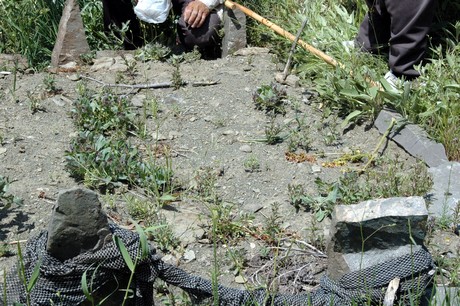 PKK'lilere ait toplu mezar görüntüleri tüyler ürpertiyor. Alman insan hakları savunucusu sosyolog Andrea Wolf'un da aralarında bulunduğu 41 PKK'liye ait Van'ın Çatak İlçesi'ndeki toplu mezarda bir vahşet ortaya çıktı.
