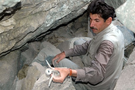 PKK'lilere ait toplu mezar görüntüleri tüyler ürpertiyor. Alman insan hakları savunucusu sosyolog Andrea Wolf'un da aralarında bulunduğu 41 PKK'liye ait Van'ın Çatak İlçesi'ndeki toplu mezarda bir vahşet ortaya çıktı.