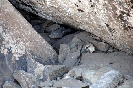 PKK'lilere ait toplu mezar görüntüleri tüyler ürpertiyor. Alman insan hakları savunucusu sosyolog Andrea Wolf'un da aralarında bulunduğu 41 PKK'liye ait Van'ın Çatak İlçesi'ndeki toplu mezarda bir vahşet ortaya çıktı.