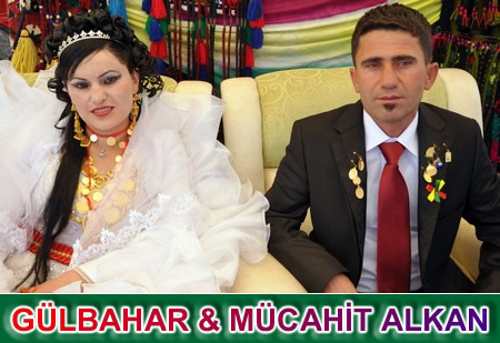 Yüksekova'da 18-19 Haziran 2011 tarihleri arasında yapılan düğünleri sizler için sayfamıza taşıdık.