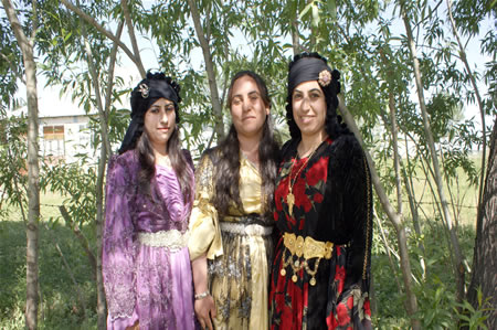 Yüksekova'da 18-19 Haziran 2011 tarihleri arasında yapılan düğünleri sizler için sayfamıza taşıdık.