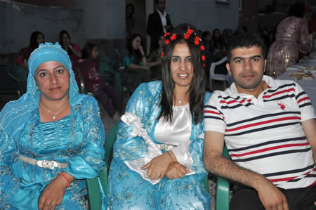 Yüksekova'da 18-19 Haziran 2011 tarihleri arasında yapılan düğünleri sizler için sayfamıza taşıdık.