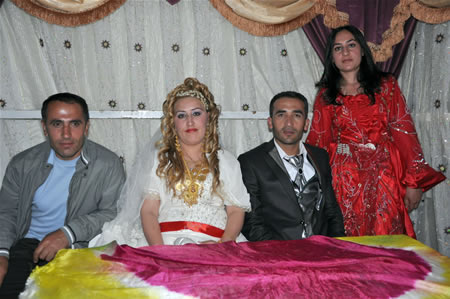 Yüksekova'da 18-19 Haziran 2011 tarihleri arasında yapılan düğünleri sizler için sayfamıza taşıdık.