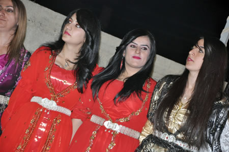 Yüksekova'da 18-19 Haziran 2011 tarihleri arasında yapılan düğünleri sizler için sayfamıza taşıdık.