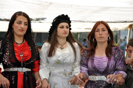 Yüksekova'da 18-19 Haziran 2011 tarihleri arasında yapılan düğünleri sizler için sayfamıza taşıdık.