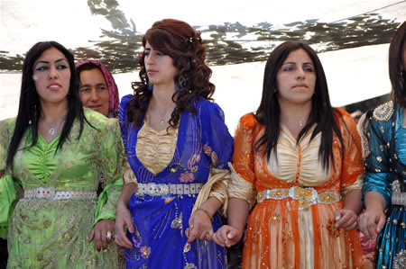 Yüksekova'da 18-19 Haziran 2011 tarihleri arasında yapılan düğünleri sizler için sayfamıza taşıdık.