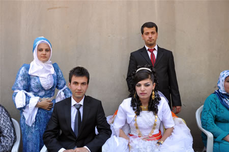 Yüksekova'da 18-19 Haziran 2011 tarihleri arasında yapılan düğünleri sizler için sayfamıza taşıdık.