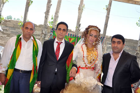 Yüksekova'da 18-19 Haziran 2011 tarihleri arasında yapılan düğünleri sizler için sayfamıza taşıdık.