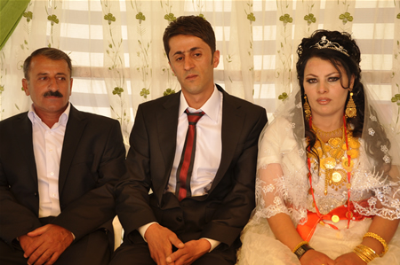 Yüksekova'da 18-19 Haziran 2011 tarihleri arasında yapılan düğünleri sizler için sayfamıza taşıdık.