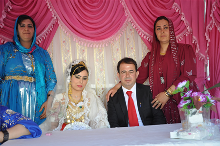 Yüksekova'da 18-19 Haziran 2011 tarihleri arasında yapılan düğünleri sizler için sayfamıza taşıdık.