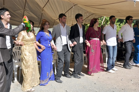 Yüksekova'da 18-19 Haziran 2011 tarihleri arasında yapılan düğünleri sizler için sayfamıza taşıdık.