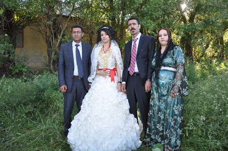 Yüksekova'da 18-19 Haziran 2011 tarihleri arasında yapılan düğünleri sizler için sayfamıza taşıdık.