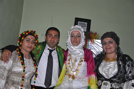 Yüksekova'da 18-19 Haziran 2011 tarihleri arasında yapılan düğünleri sizler için sayfamıza taşıdık.