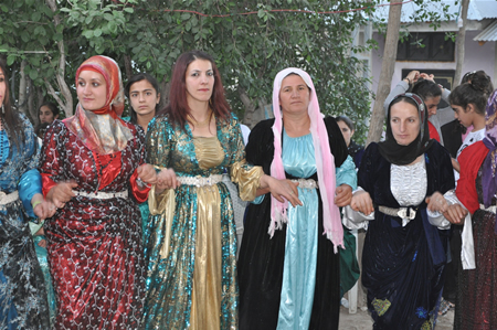 Yüksekova'da 18-19 Haziran 2011 tarihleri arasında yapılan düğünleri sizler için sayfamıza taşıdık.