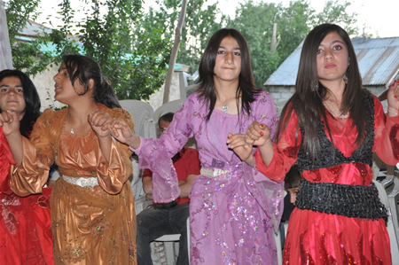 Yüksekova'da 18-19 Haziran 2011 tarihleri arasında yapılan düğünleri sizler için sayfamıza taşıdık.