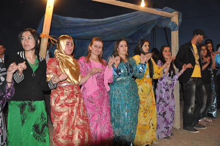 Yüksekova'da 18-19 Haziran 2011 tarihleri arasında yapılan düğünleri sizler için sayfamıza taşıdık.