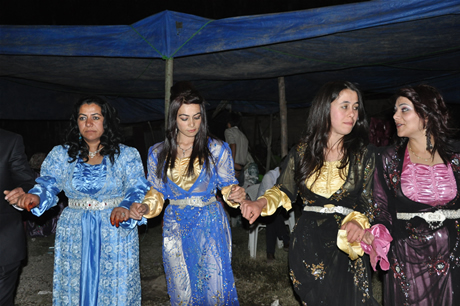 Yüksekova'da 02.03. Temmuz 2011 tarihlerinde evlenen bazı çiftleri sizler için sayfamıza taşıdık. Bizde Yüksekova Güncel Ailesi olarak tüm çiftlere mutluluklar dileriz