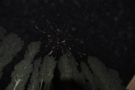 Yüksekova'da 23-24 Temmuz 2011 tarihlerinde evlenen bazı çiftleri sizler için sayfamıza taşıdık. Yüksekova Güncel Ailesi olarak tüm çiftlerimize mutluluklar diliyoruz...