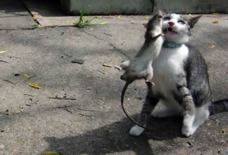 Şaşırtan kareler! 