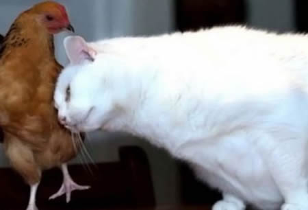 Şaşırtan kareler! 