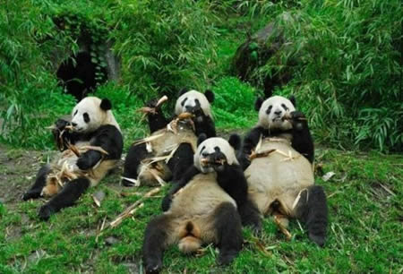 Şaşırtan kareler! 