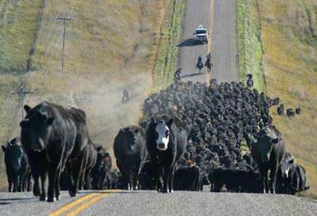Şaşırtan kareler! 