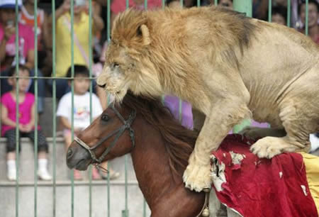 Şaşırtan kareler! 