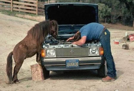 Şaşırtan kareler! 