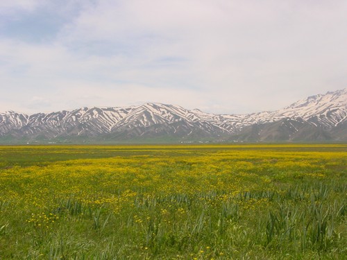Yüksekova Ovasından Doyumsuz Manzaralar