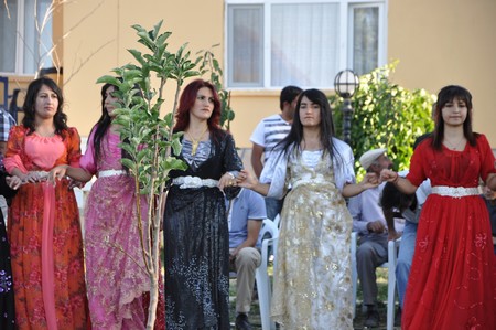 Hakkari'nin Yüksekova ilçesinde 10-11.2011 Eylül Dünya evine giren bazı çiftlerimizi sizler için sayfamıza taşıdık. Yüksekova Güncel ailesi olarak tüm çiftlerimize mutluluklar dileriz.