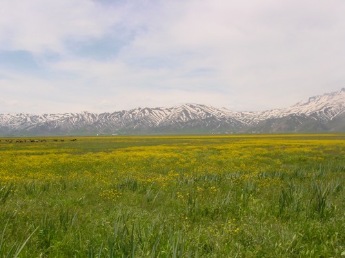 Yüksekova Ovasından Doyumsuz Manzaralar