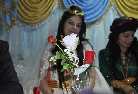 Hakkari'nin Yüksekova ilçesinde 17-18.2011 Eylül Dünya evine giren bazı çiftlerimizi sizler için sayfamıza taşıdık. Yüksekova Güncel ailesi olarak tüm çiftlerimize mutluluklar dileriz.