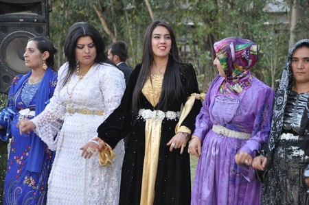 Hakkarinin Yüksekova İlçesinde 26 yaşındaki Mustafa Güzel, bir düğünde tanışıp arkadaşlık kurduğu, kendisi gibi işitme ve konuşma engelli aynı yaştaki Nedimhan Taş ile dünya evine girdi.