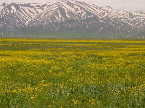 Yüksekova Ovasından Doyumsuz Manzaralar