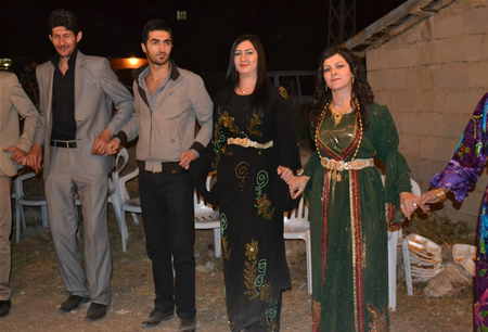 Hakkari'nin Yüksekova ilçesinde 23-25 Eylül 2011 tarihlerinde hayatlarını birleştiren çiftlerimizi sizler için sayfamıza taşıdık.