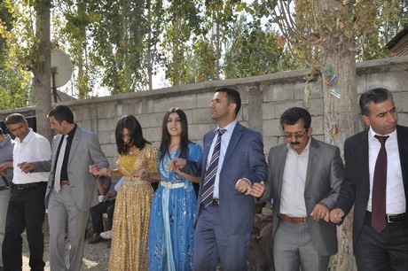 Yüksekova Güncel İmtiyaz Sahibi Cahit Yiğitin  kardeşi Hakim Yiğit yapılan görkemli bir törenle dünya evine girdi.