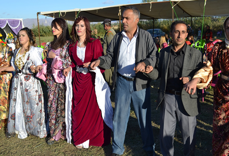 Hakkari'nin Yüksekova ilçesinde 02-10.2011 Ekim Dünya evine giren bazı çiftlerimizi sizler için sayfamıza taşıdık. Yüksekova Güncel ailesi olarak tüm çiftlerimize mutluluklar dileriz.