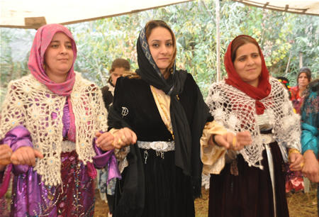 Hakkari'nin Yüksekova ilçesinde 15-16-10.2011 Ekim Dünya evine giren bazı çiftlerimizi sizler için sayfamıza taşıdık. Yüksekova Güncel ailesi olarak tüm çiftlerimize mutluluklar dileriz.