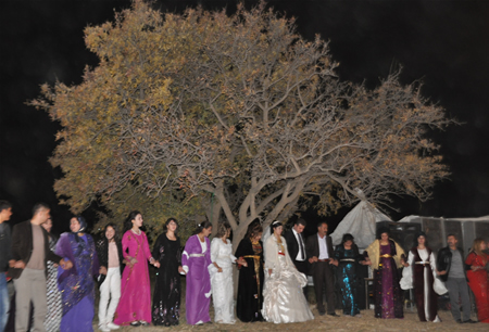 Hakkari'nin Yüksekova ilçesinde 15-16-10.2011 Ekim Dünya evine giren bazı çiftlerimizi sizler için sayfamıza taşıdık. Yüksekova Güncel ailesi olarak tüm çiftlerimize mutluluklar dileriz.