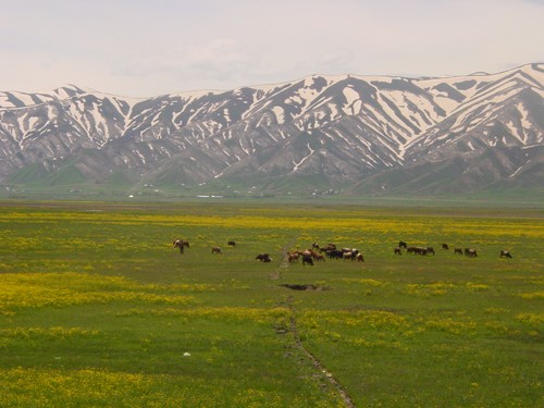 Yüksekova Ovasından Doyumsuz Manzaralar