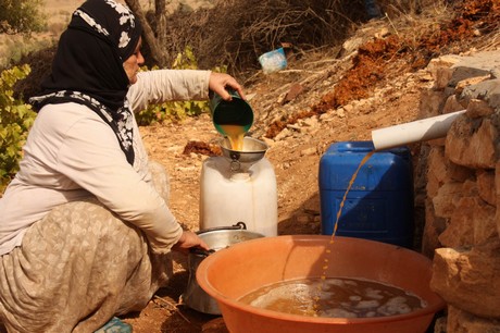 Sonbahar ile birlikte yeşil örtünün yerini sarı örtüye bıraktığı bölgede, köylülerin kış hazırlığı başladı. Köylüler, bağ bozumu ile pestil (Bastiq), cevizli sucuk (Benî), pekmez ve salça gibi ürünlerle kışa hazırlanıyor.