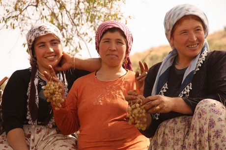 Sonbahar ile birlikte yeşil örtünün yerini sarı örtüye bıraktığı bölgede, köylülerin kış hazırlığı başladı. Köylüler, bağ bozumu ile pestil (Bastiq), cevizli sucuk (Benî), pekmez ve salça gibi ürünlerle kışa hazırlanıyor.
