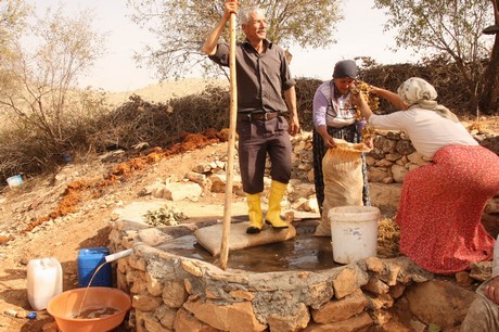 Sonbahar ile birlikte yeşil örtünün yerini sarı örtüye bıraktığı bölgede, köylülerin kış hazırlığı başladı. Köylüler, bağ bozumu ile pestil (Bastiq), cevizli sucuk (Benî), pekmez ve salça gibi ürünlerle kışa hazırlanıyor.