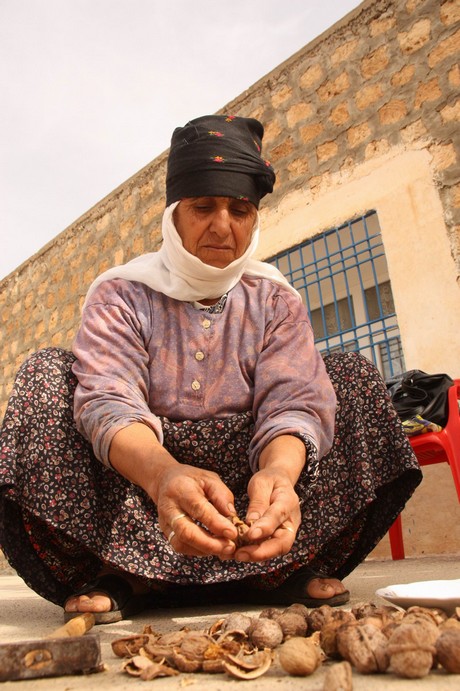 Sonbahar ile birlikte yeşil örtünün yerini sarı örtüye bıraktığı bölgede, köylülerin kış hazırlığı başladı. Köylüler, bağ bozumu ile pestil (Bastiq), cevizli sucuk (Benî), pekmez ve salça gibi ürünlerle kışa hazırlanıyor.