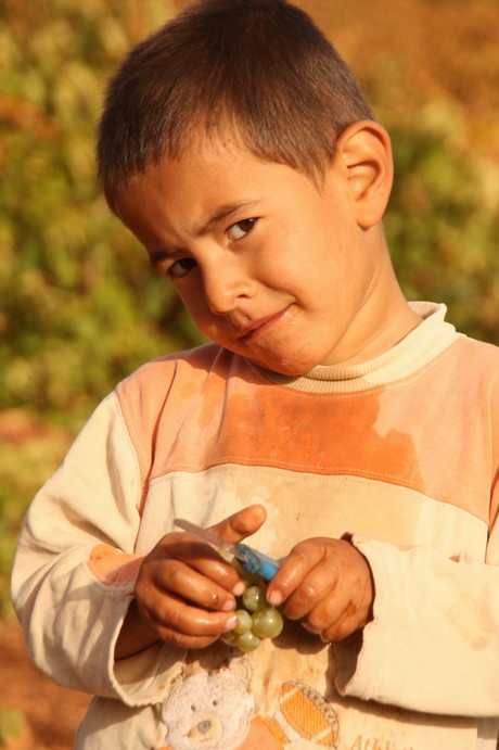 Sonbahar ile birlikte yeşil örtünün yerini sarı örtüye bıraktığı bölgede, köylülerin kış hazırlığı başladı. Köylüler, bağ bozumu ile pestil (Bastiq), cevizli sucuk (Benî), pekmez ve salça gibi ürünlerle kışa hazırlanıyor.